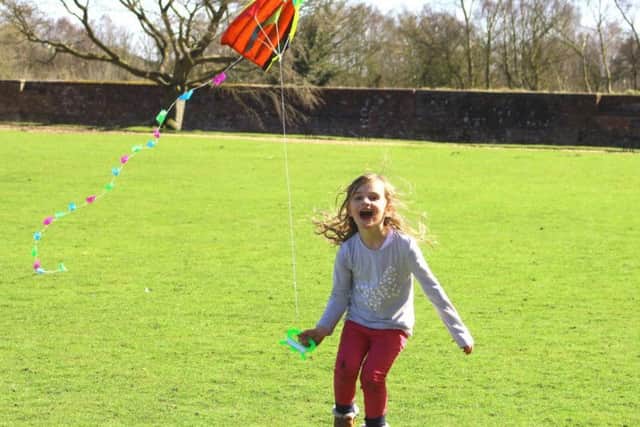 Flying a kite: #7 on the list of things to do before you are 11-and-three-quarters