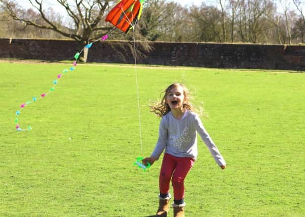 Flying a kite: #7 on the list of things to do before you are 11-and-three-quarters