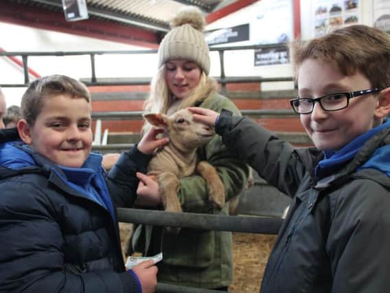 Rosie Cosgrove, from Louth Young Farmers, introduces North Thoresby Primary Academy pupils to a little lamb!