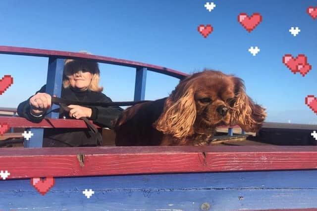 Luca from the Facebook page Dog Friendly Lincolnshire will be inviting his pupmates to join him for a walk on the beach in Chapel St Leonards at a special Puppies and Prosecco event at the Admiral Benbow. ANL-190214-190618001