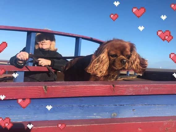 Luca from the Facebook page Dog Friendly Lincolnshire will be inviting his pupmates to join him for a walk on the beach in Chapel St Leonards at a special Puppies and Prosecco event at the Admiral Benbow. ANL-190214-190618001