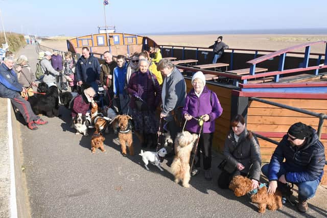Some of the dogs and their owners who went on a Puppies and Pawsecco beach walk from the Admiral Benbow bar in Chapel St Leonards.