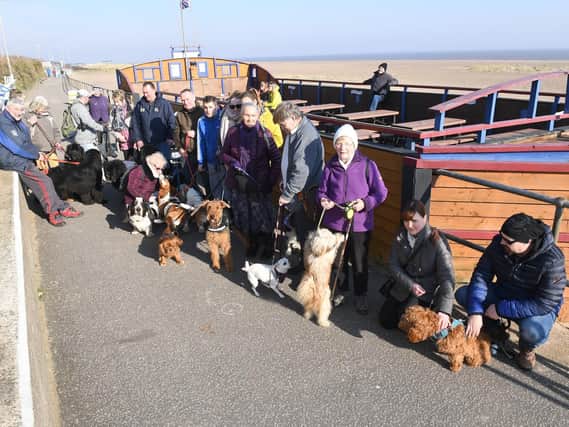 Some of the dogs and their owners who went on a Puppies and Pawsecco beach walk from the Admiral Benbow bar in Chapel St Leonards.