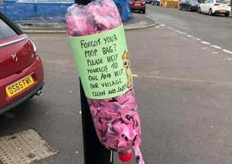 An example of a homemade dog poo bag dispenser.