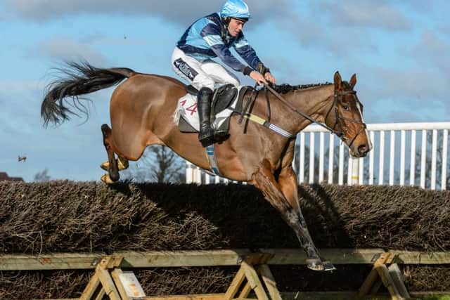 Salvatore turned in a classy display to land the Club Members Conditions race. Picture: Stephanie Reynolds Photography. EMN-190225-105232002
