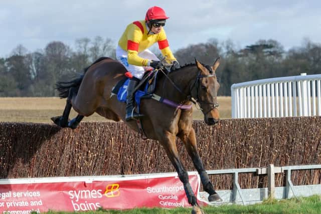 somethingwonderful won the Members race at Brocklesby for the third time in four years. Picture: Nico Morgan EMN-190225-105208002