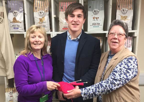 Lynn Peak, marketing assistant Mitchell Pearson, and Sue Adams, from Laughing Dog Food near Boston.