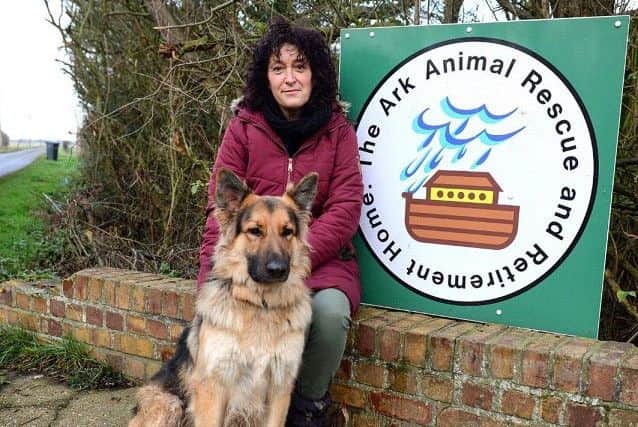 Sue Rice at The Ark Animal Rescue and Retirement Home.