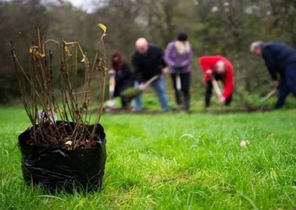 Free trees have been provided by the Woodland Trust for a memorial project at Heckington. (File photo) EMN-190803-175711001