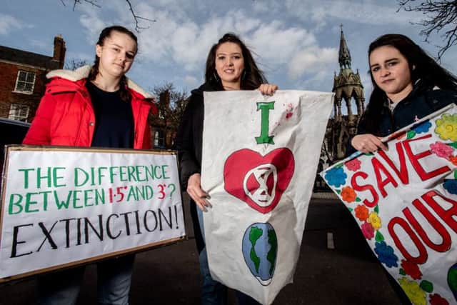 The climate change protest in Horncastle on Friday March 15.