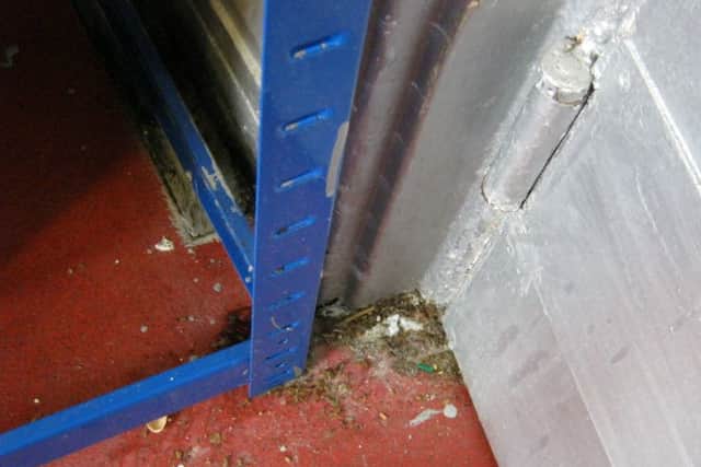 Failure to keep fixtures fittings and equipment in clean condition (food safety and hygiene) ANL-190315-163158001