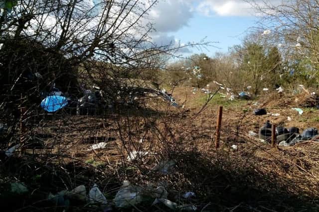 Plastic bags in trees and hedges neighbouring the Kirkby Gravel Pits nature reserve and Kirkby on Bain Household Waste Recycling Centre.