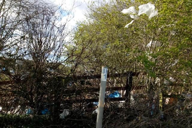 Plastic bags in trees and hedges neighbouring the Kirkby Gravel Pits nature reserve and Kirkby on Bain Household Waste Recycling Centre.