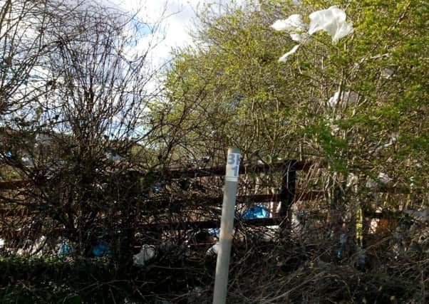 Plastic bags in trees and hedges neighbouring the Kirkby Gravel Pits nature reserve and Kirkby on Bain Household Waste Recycling Centre.