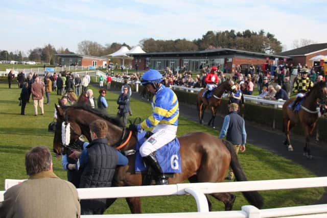 Runners parade before the feature race of the afternoon, the Mansionbet Handicap Chase EMN-190321-102437002