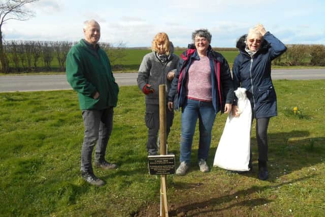 Planting the trees, (from left) Ken Penson, Christina Melaugh, Coun Jean Shutt, and Jan Clarke.