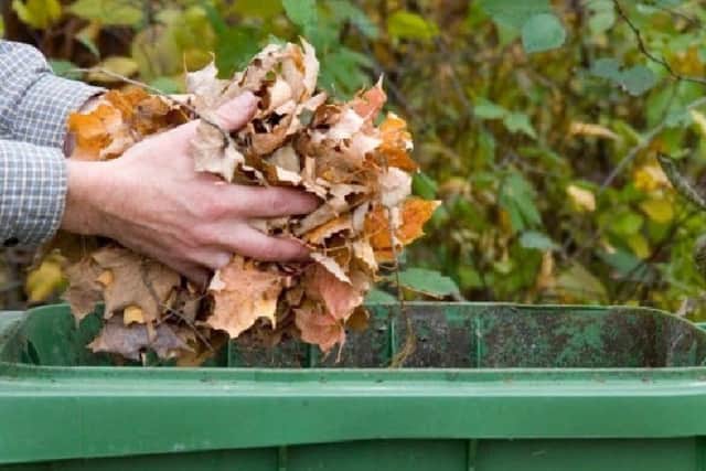 Green waste collections.