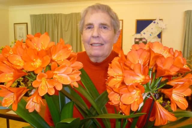 Pat Fussey with her magnificent Clivia miniata EMN-190328-075405001