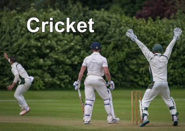 The latest local cricket news.