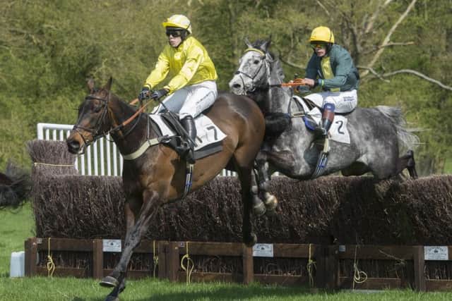 The South Wold Hunt Point-to-Point in 2018. Picture: Sarah Washbourn www.yellowbellyphotos.com