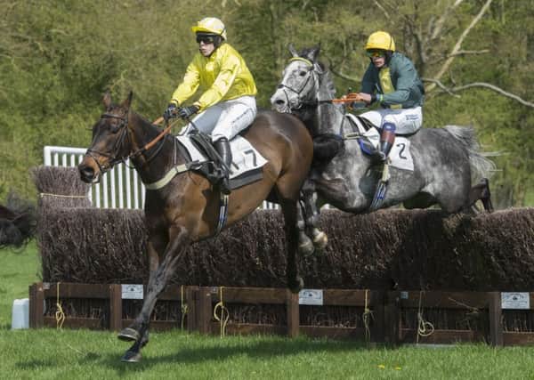 The South Wold Hunt Point-to-Point in 2018.  Picture: Sarah Washbourn www.yellowbellyphotos.com
