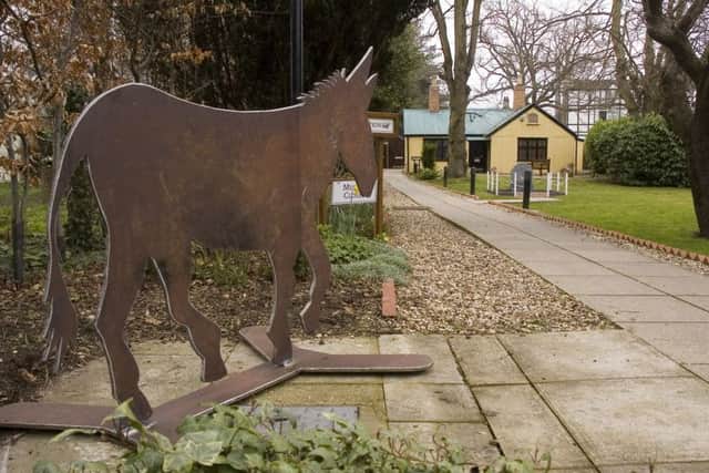 The donkey now greets visitors to the museum EMN-190704-150225001