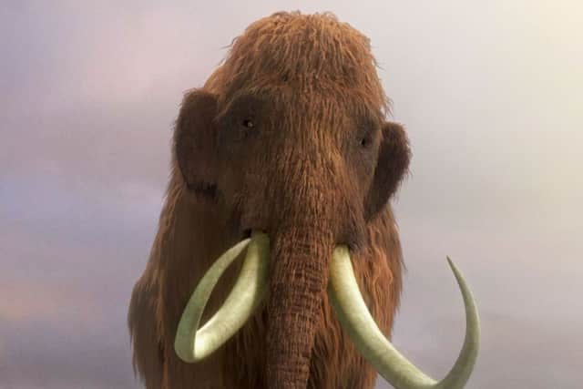 Could the remains of a mammoth lie beneath a proposed housing site in Louth?
