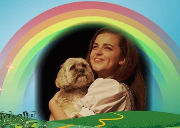 Pippa is one of the dogs picked to play Toto in the Easter pantomime at Lincoln New Theatre Royal EMN-190904-073300001