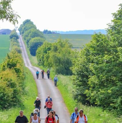 Wolds Walking Festival
Picture by David Dales EMN-190904-075414001