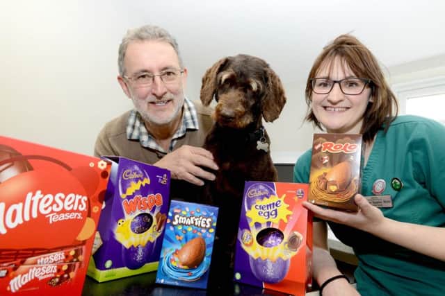 Boseley with owner Peter Hind and Eastfield Veterinary Hospital veterinary nurse Heather Sparks (RVN).