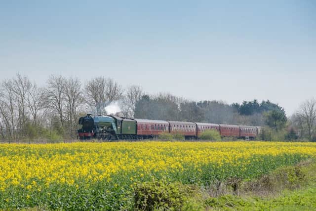 The Flying Scotsman passing through the Sleaford area last year, photo by Paul Cook. EMN-191204-172457001