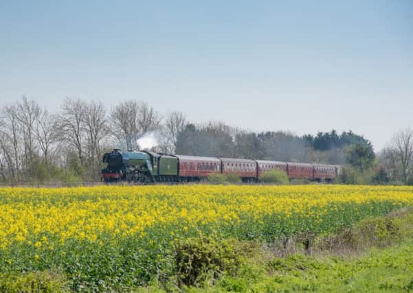 The Flying Scotsman passing through the Sleaford area last year, photo by Paul Cook. EMN-191204-172457001