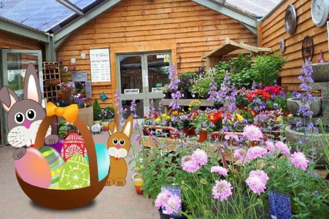 Easter fun at The Willows EMN-190414-190143001