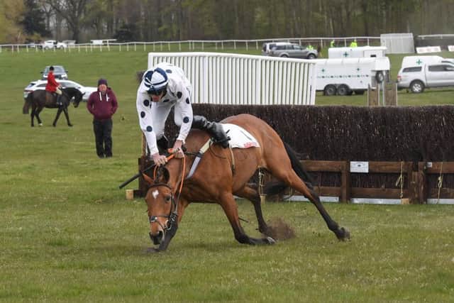 A scene from one of the races.