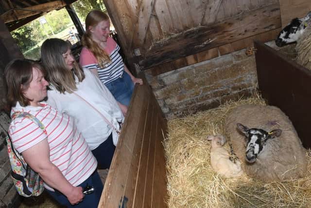 Easter egg hunt at Rauceby Hall with visits to the lambing sheds at Rauceby Hall Farm. L-R Sally Farmer, Judy Watson and Emma Farmer 15 in the lambing shed. EMN-190422-095404001