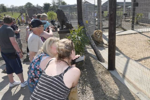 Wolds Wildlife Park open day. EMN-190423-153340001