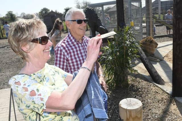 Lynn Baker and Colin Suffield looking at the lions. EMN-190423-153445001