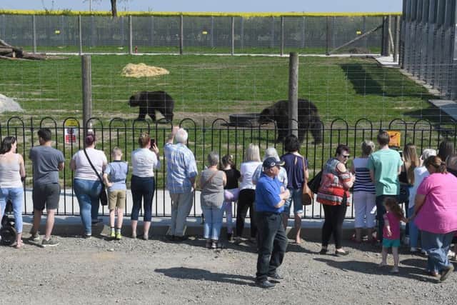 Wolds Wildlife Park open day. EMN-190423-153518001