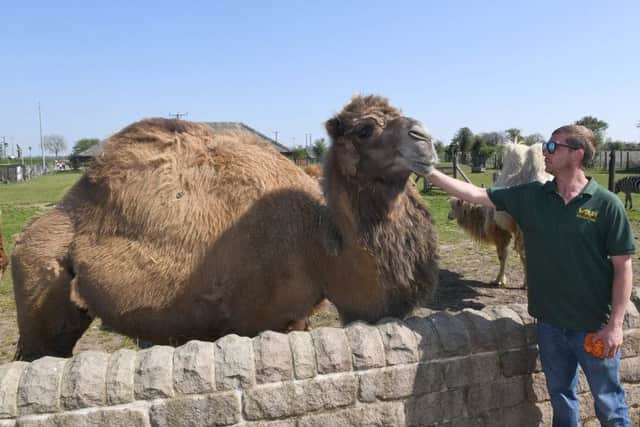 Wolds Wildlife Park open day. EMN-190423-153559001