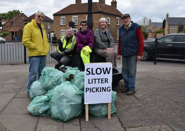 Wragby Litter Pick EMN-190105-084545001