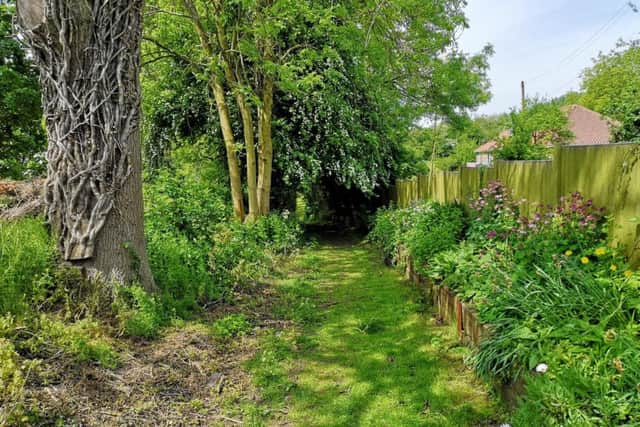 Claxby Open gardens EMN-190305-064623001