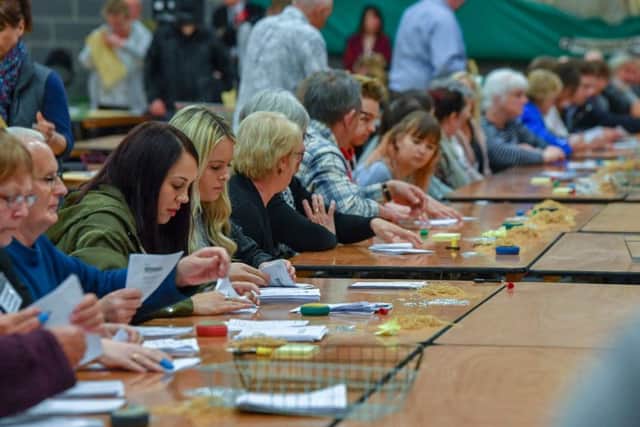 The election count at ELDC on Friday (May 3). Photo: John Aron.