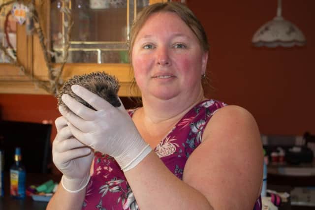 Tracey Stevenson, of Hedgelinas Home for Hogs, is urging garden owners to do their bit.