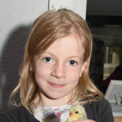 Family fun day at Rippingale church and pub. Emma Langdon 7 holding a chick. EMN-190513-095453001