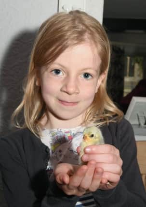 Family fun day at Rippingale church and pub. Emma Langdon 7 holding a chick. EMN-190513-095453001