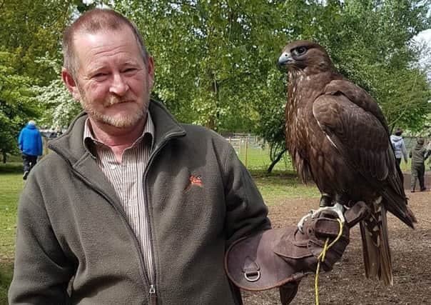 Trevor Roberts enjoyed a falconry experience at Tattershall Farm Park after finding missing Gyr Saker Falcon Delta (right). EMN-190514-092618001