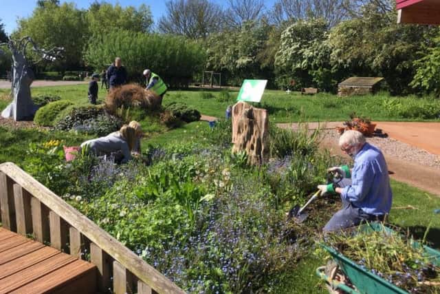 Volunteers help give Boston West Academy's garden a spring clean
