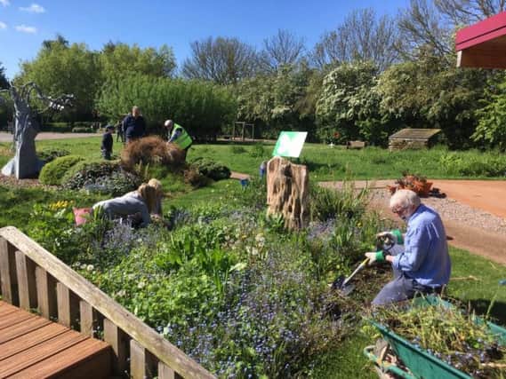 Volunteers help give Boston West Academy's garden a spring clean
