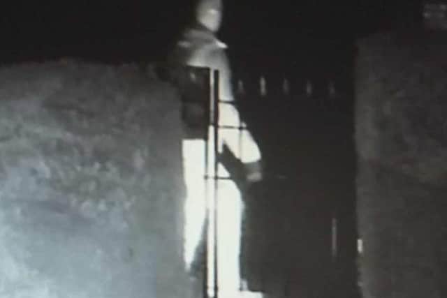 The raider by a gate which gave Danny an indication of his height