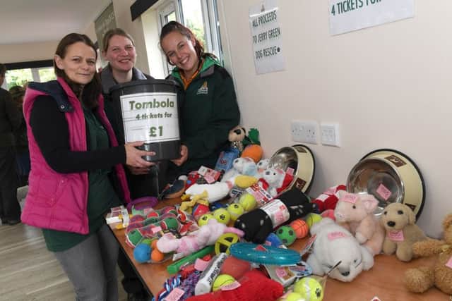 Jerry Green Rescue Centre opens new centre. Jerry Green staff members L-R Dawn Field, Michelle Cornelius and Beth Stukins. EMN-190521-094708005